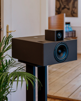 A single STRAUSS ELEKTROAKUSTIK SE NF-3 Passive Nearfield Monitor mounted on a custom stand, integrated into a refined residential hi-fi listening environment featuring dedicated amplification and pristine architectural interior details.