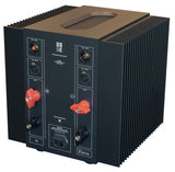 Rear three-quarter view of the STRAUSS ELEKTROAKUSTIK SE PA-100 Stereo Power Amplifier on a white background, highlighting the heavy-duty custom red loudspeaker binding posts, balanced XLR and unbalanced RCA input interfaces, massive external cooling fins, and precision mechanical housing construction.