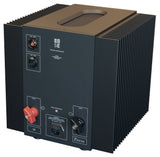 Rear three-quarter view of a single STRAUSS ELEKTROAKUSTIK SE PA-250 Mono Power Amplifier on a white background, highlighting the technical interface panel, premium low-resistance speaker binding posts, balanced XLR input, unbalanced RCA input, and massive integrated side cooling fins.